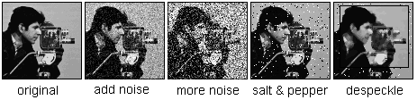 [noise]